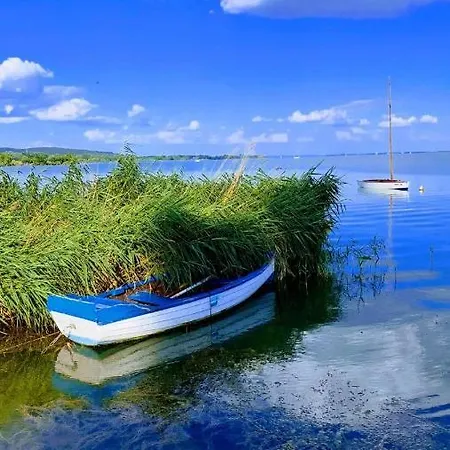 Madagascar * Кестхей