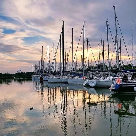 Madagascar * Кестхей