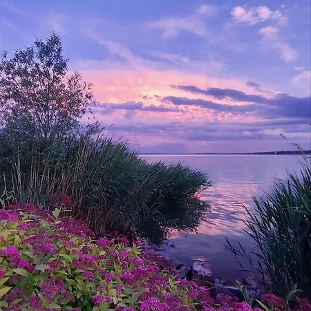 Madagascar Кестхей