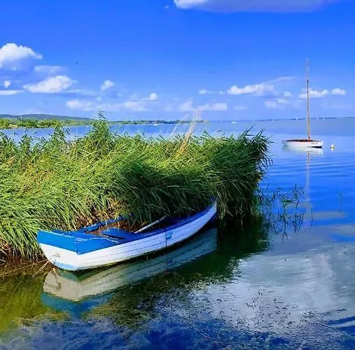 Madagascar * Keszthely